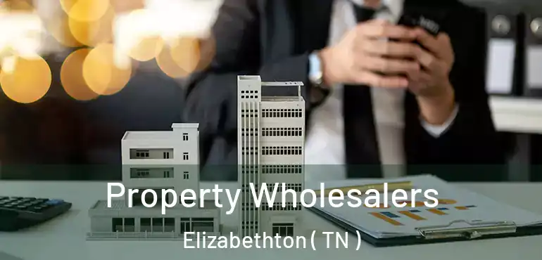  Property Wholesalers Elizabethton ( TN )