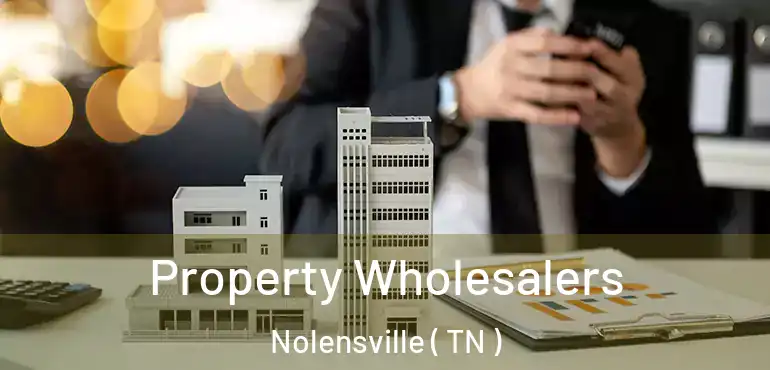  Property Wholesalers Nolensville ( TN )
