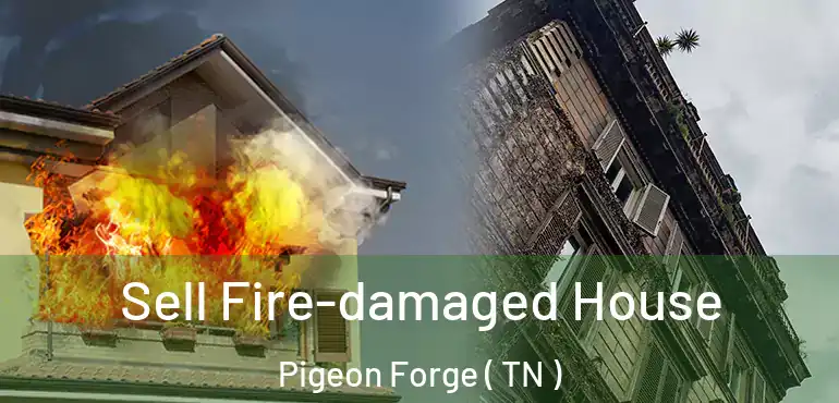  Sell Fire-damaged House Pigeon Forge ( TN )
