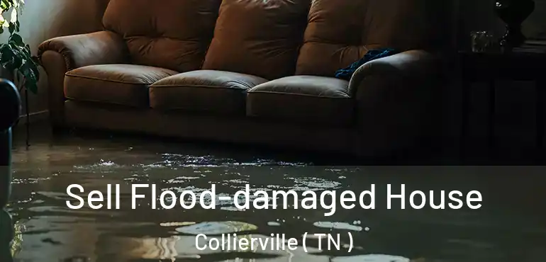  Sell Flood-damaged House Collierville ( TN )
