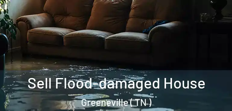  Sell Flood-damaged House Greeneville ( TN )