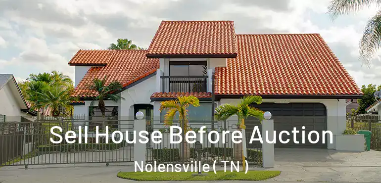  Sell House Before Auction Nolensville ( TN )