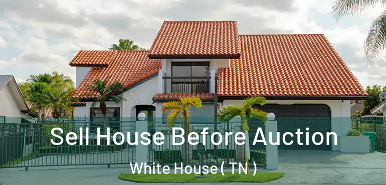  Sell House Before Auction White House ( TN )