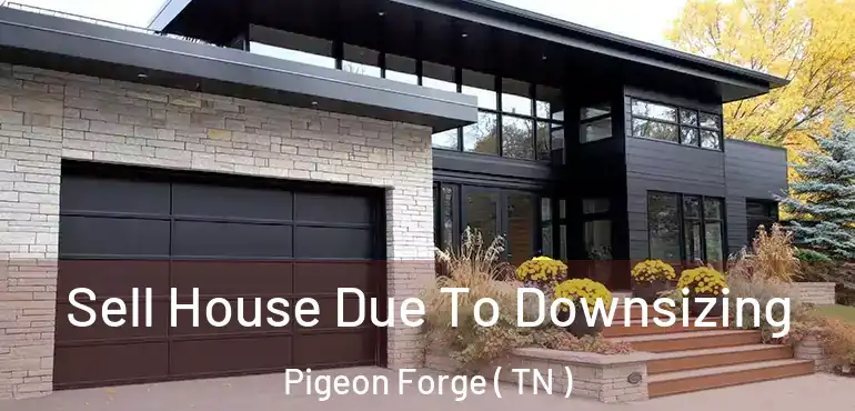  Sell House Due To Downsizing Pigeon Forge ( TN )