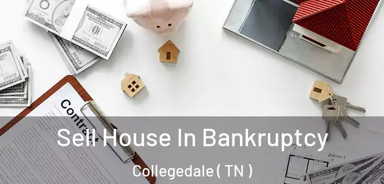  Sell House In Bankruptcy Collegedale ( TN )