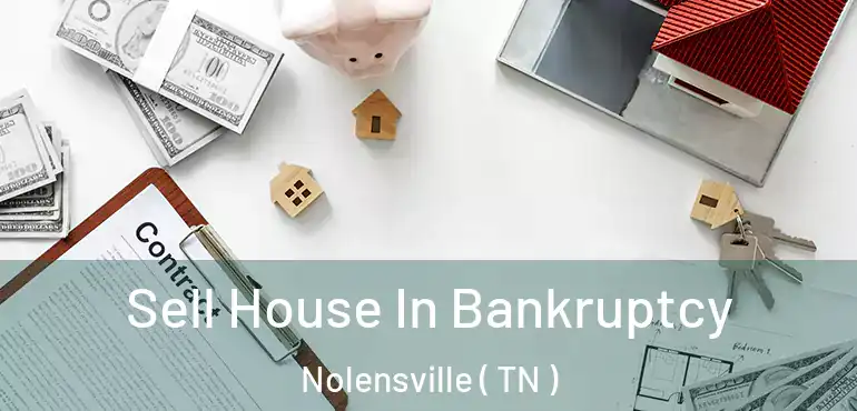  Sell House In Bankruptcy Nolensville ( TN )