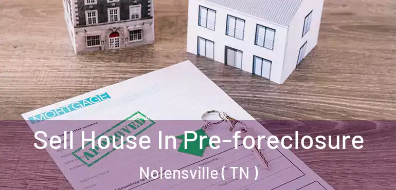  Sell House In Pre-foreclosure Nolensville ( TN )