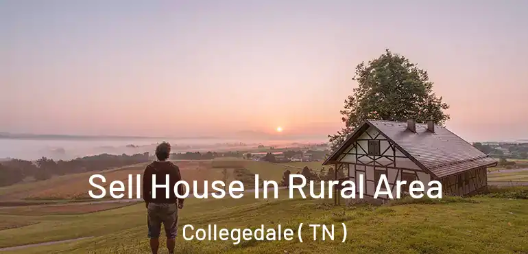  Sell House In Rural Area Collegedale ( TN )