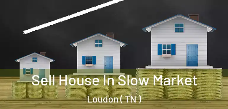  Sell House In Slow Market Loudon ( TN )