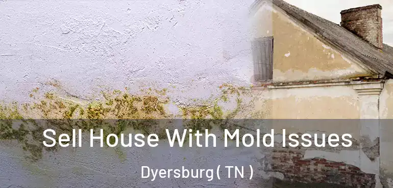  Sell House With Mold Issues Dyersburg ( TN )