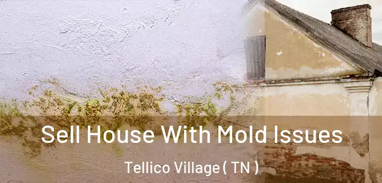  Sell House With Mold Issues Tellico Village ( TN )