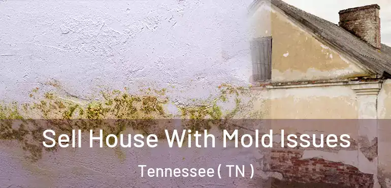  Sell House With Mold Issues Tennessee ( TN )