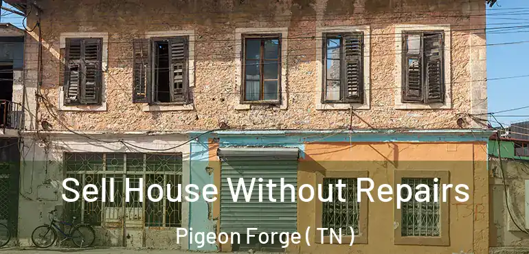  Sell House Without Repairs Pigeon Forge ( TN )