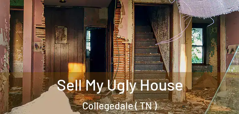  Sell My Ugly House Collegedale ( TN )